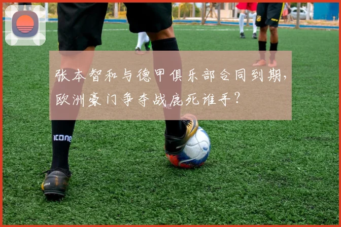 张本智和与德甲俱乐部合同到期，欧洲豪门争夺战鹿死谁手？